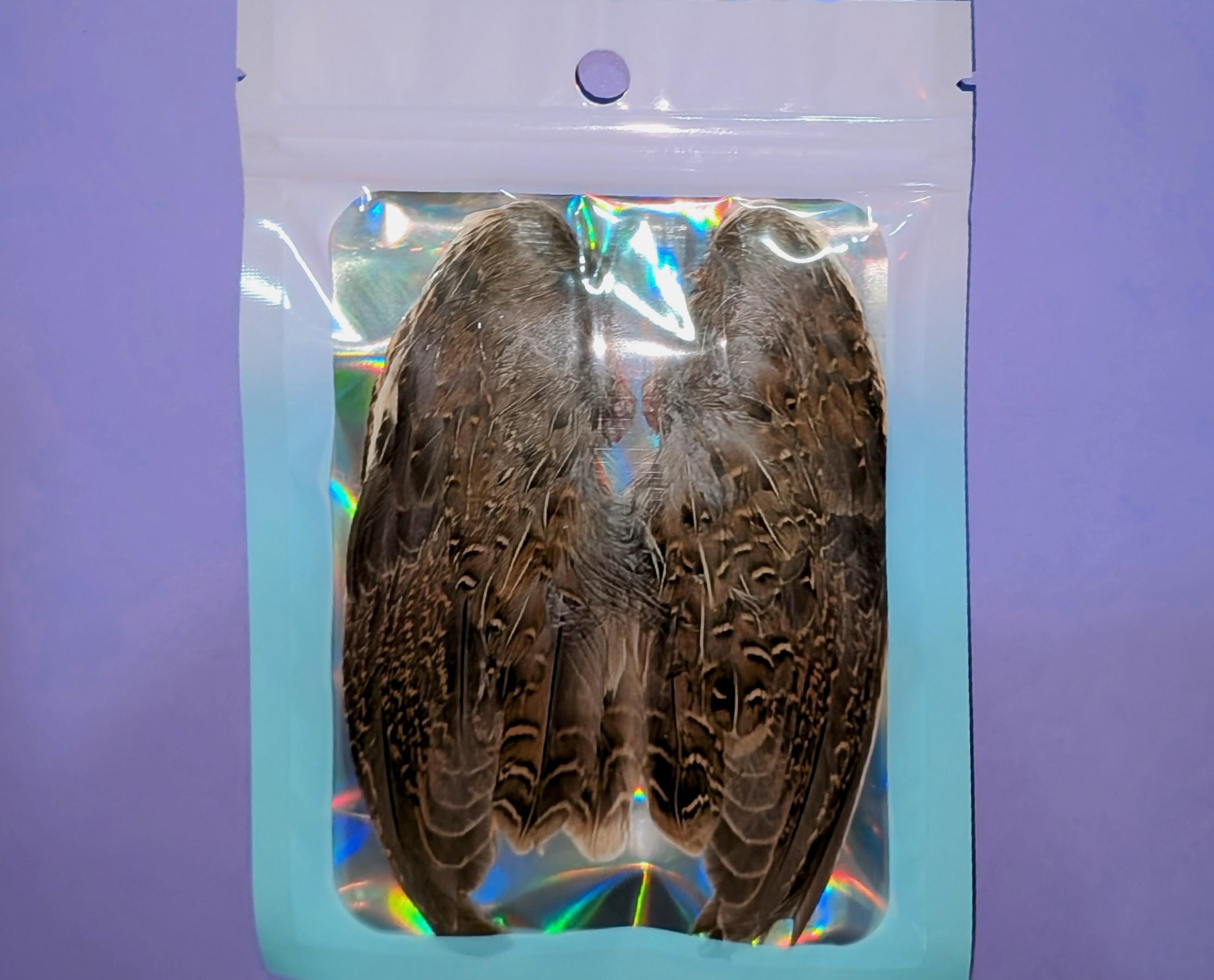 Dehydrated Quail Wings